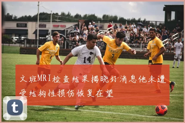 文班MRI检查结果揭晓好消息他未遭受结构性损伤恢复在望